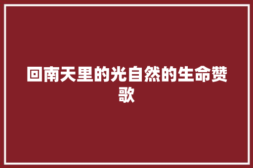 回南天里的光自然的生命赞歌