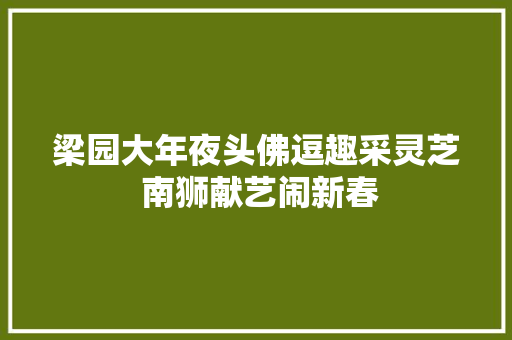 梁园大年夜头佛逗趣采灵芝 南狮献艺闹新春