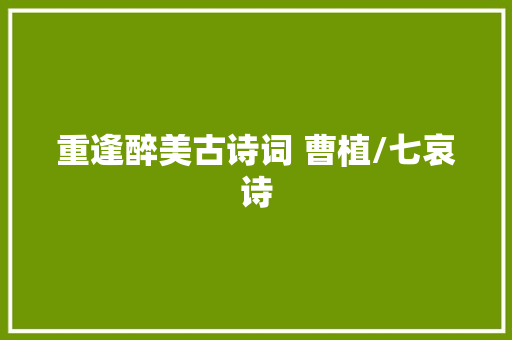 重逢醉美古诗词 曹植/七哀诗