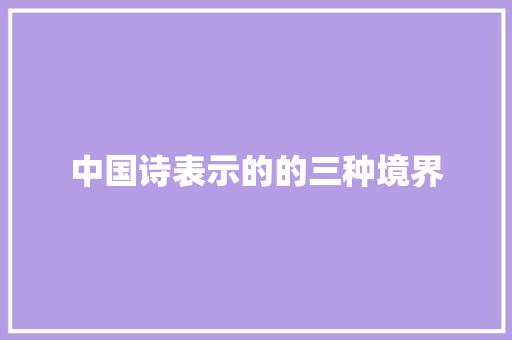 中国诗表示的的三种境界