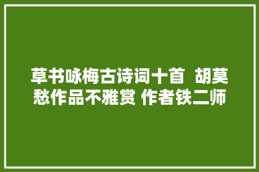草书咏梅古诗词十首  胡莫愁作品不雅赏 作者铁二师 胡莫愁
