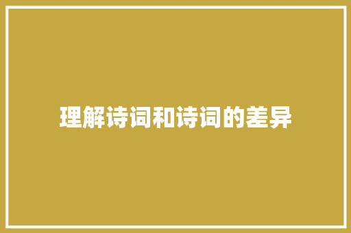 理解诗词和诗词的差异