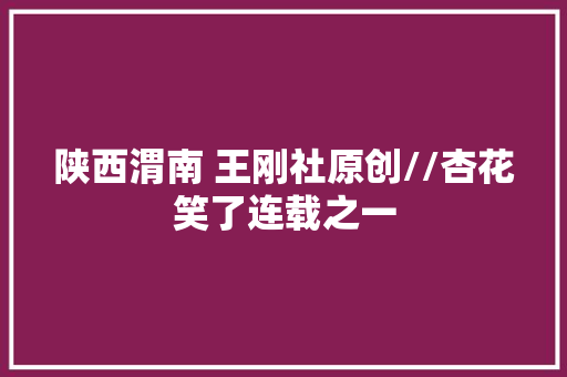 陕西渭南 王刚社原创//杏花笑了连载之一