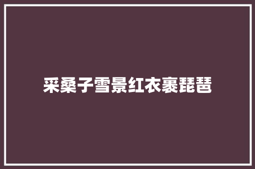 采桑子雪景红衣裹琵琶