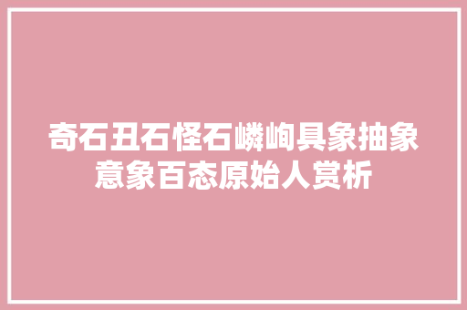 奇石丑石怪石嶙峋具象抽象意象百态原始人赏析