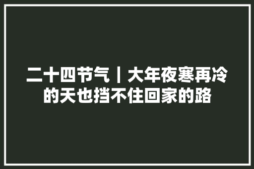 二十四节气｜大年夜寒再冷的天也挡不住回家的路