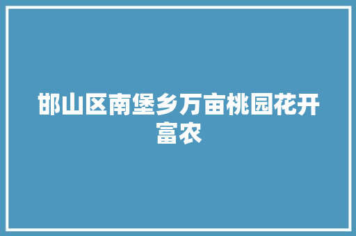 邯山区南堡乡万亩桃园花开富农