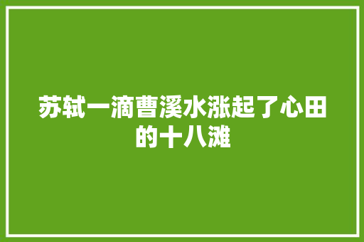 苏轼一滴曹溪水涨起了心田的十八滩
