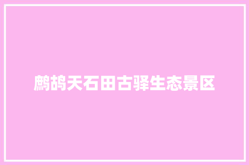 鹧鸪天石田古驿生态景区