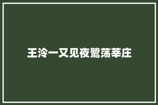 王泠一又见夜鹭荡莘庄