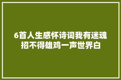 6首人生感怀诗词我有迷魂招不得雄鸡一声世界白
