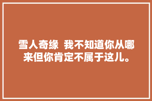 雪人奇缘  我不知道你从哪来但你肯定不属于这儿。