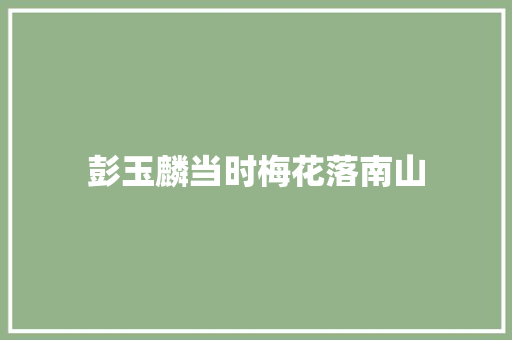 彭玉麟当时梅花落南山