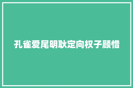 孔雀爱尾明耿定向权子顾惜