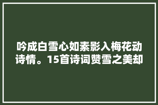 吟成白雪心如素影入梅花动诗情。15首诗词赞雪之美却不带雪字
