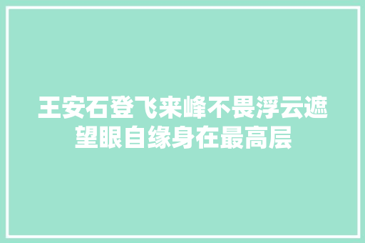 王安石登飞来峰不畏浮云遮望眼自缘身在最高层