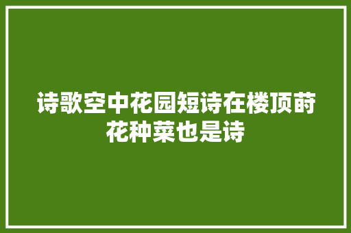 诗歌空中花园短诗在楼顶莳花种菜也是诗