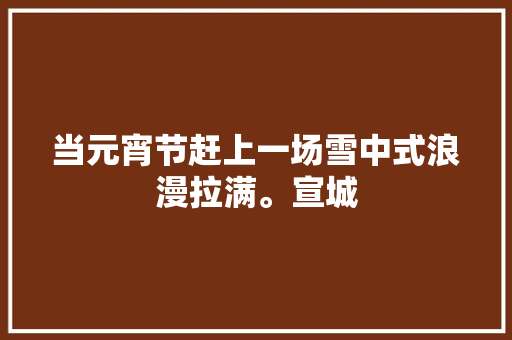 当元宵节赶上一场雪中式浪漫拉满。宣城