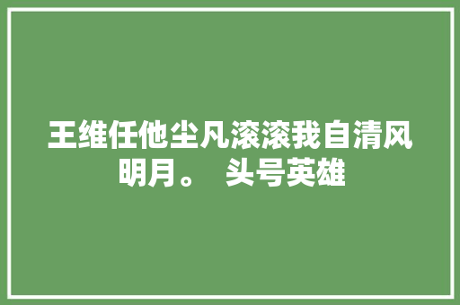 王维任他尘凡滚滚我自清风明月。  头号英雄