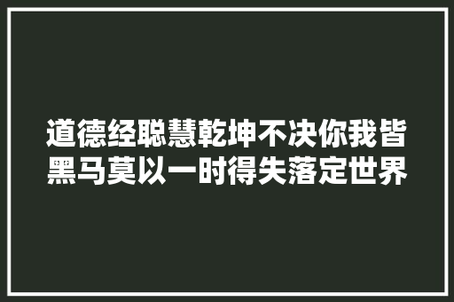 道德经聪慧乾坤不决你我皆黑马莫以一时得失落定世界