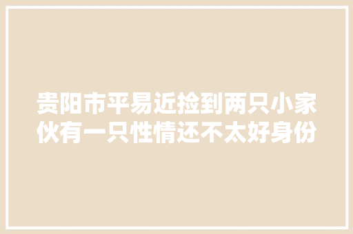 贵阳市平易近捡到两只小家伙有一只性情还不太好身份都欠亨俗