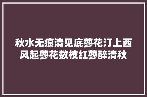 秋水无痕清见底蓼花汀上西风起蓼花数枝红蓼醉清秋