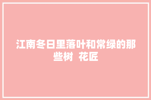 江南冬日里落叶和常绿的那些树  花匠