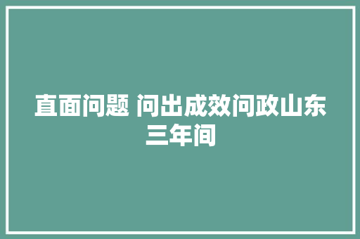 直面问题 问出成效问政山东三年间