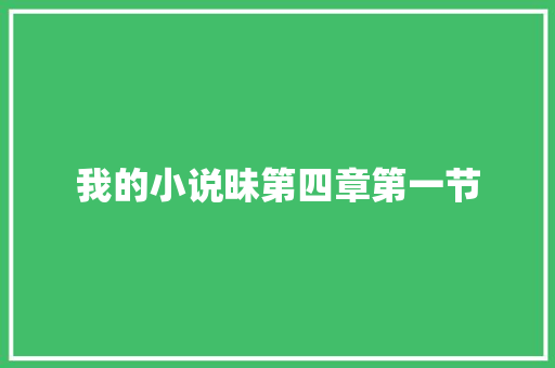 我的小说昧第四章第一节
