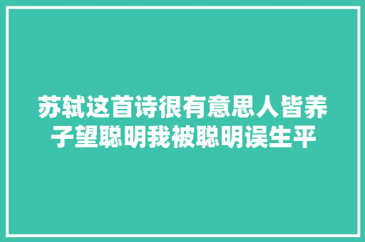 苏轼这首诗很有意思人皆养子望聪明我被聪明误生平