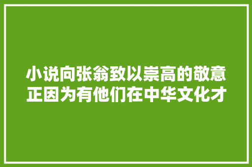 小说向张翁致以崇高的敬意正因为有他们在中华文化才没有断