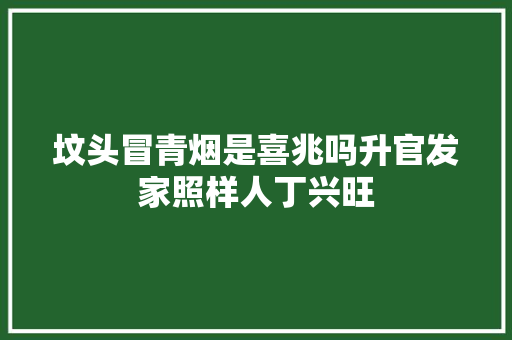 坟头冒青烟是喜兆吗升官发家照样人丁兴旺