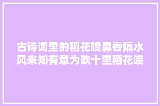 古诗词里的稻花喷鼻香隔水风来知有意为吹十里稻花喷鼻香。