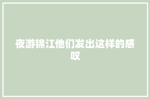 夜游锦江他们发出这样的感叹