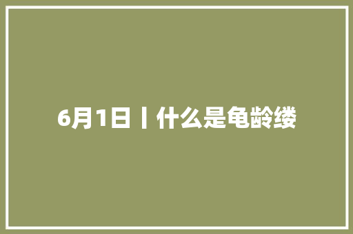 6月1日丨什么是龟龄缕