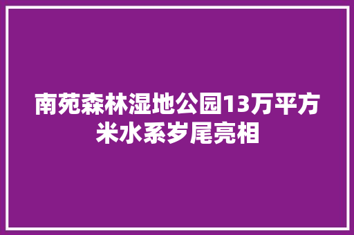南苑森林湿地公园13万平方米水系岁尾亮相
