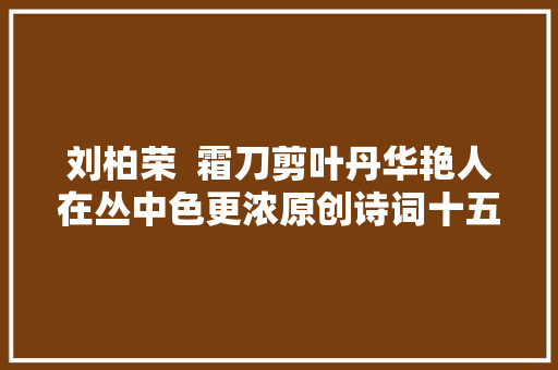 刘柏荣  霜刀剪叶丹华艳人在丛中色更浓原创诗词十五首