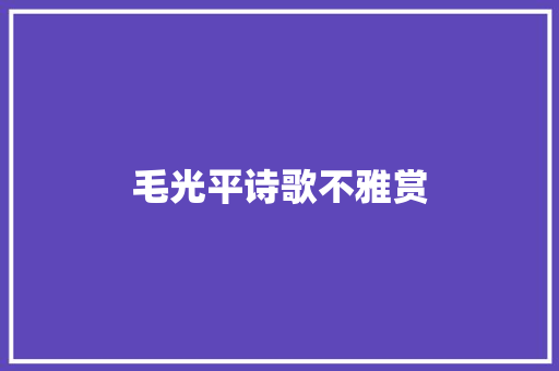 毛光平诗歌不雅赏