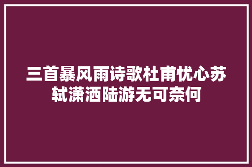三首暴风雨诗歌杜甫忧心苏轼潇洒陆游无可奈何