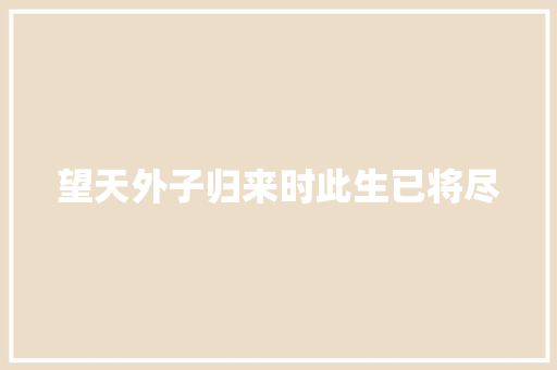 望天外子归来时此生已将尽