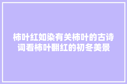 柿叶红如染有关柿叶的古诗词看柿叶翻红的初冬美景