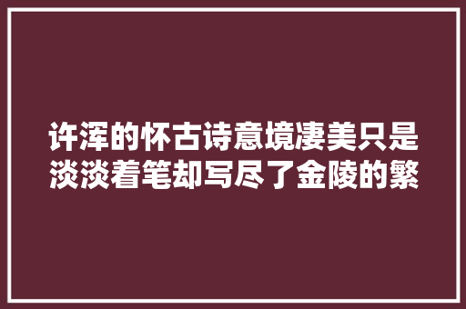 许浑的怀古诗意境凄美只是淡淡着笔却写尽了金陵的繁华与落寞