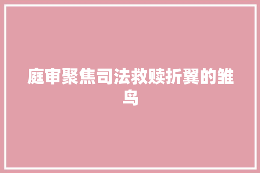 庭审聚焦司法救赎折翼的雏鸟