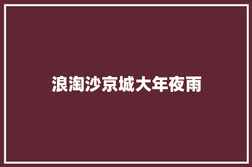 浪淘沙京城大年夜雨
