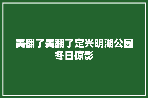 美翻了美翻了定兴明湖公园冬日掠影