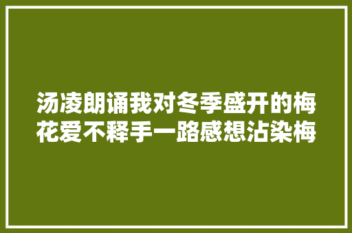 汤凌朗诵我对冬季盛开的梅花爱不释手一路感想沾染梅花的韵味