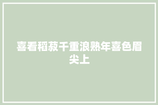 喜看稻菽千重浪熟年喜色眉尖上