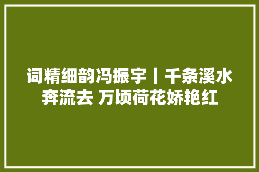 词精细韵冯振宇｜千条溪水奔流去 万顷荷花娇艳红