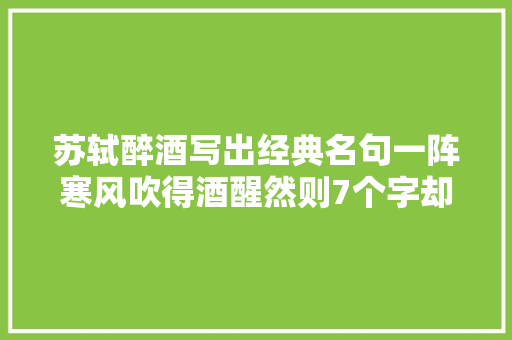 苏轼醉酒写出经典名句一阵寒风吹得酒醒然则7个字却流传下来