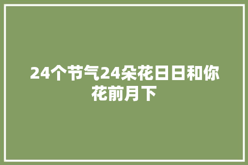 24个节气24朵花日日和你花前月下